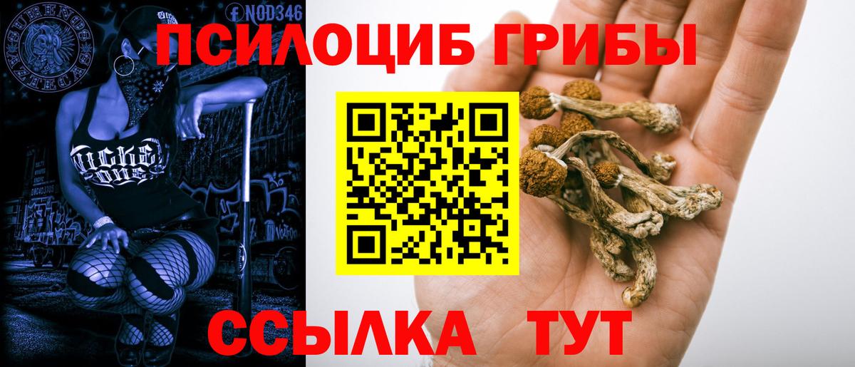 Киров  Галлюциногенные грибы мицелий  Галлюциногенные грибы Psilocybe  Вход с VPN 