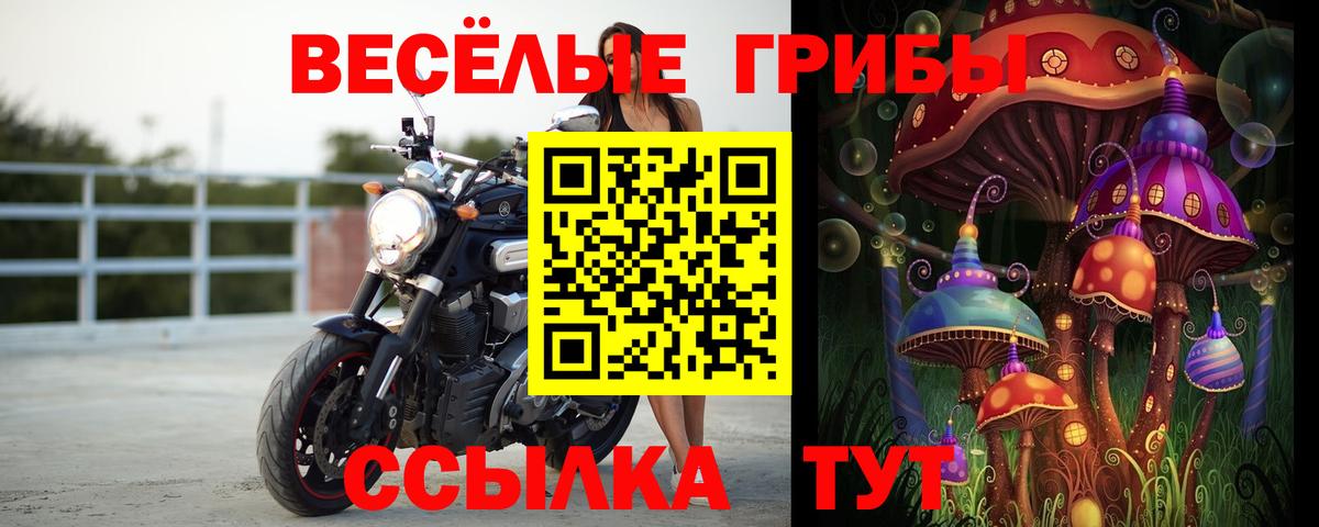Галлюциногенные грибы GOLDEN TEACHER Киров
